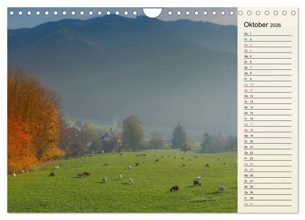 Produktbild: Auf Schusters Rappen... S&uuml;dlicher Oberrhein und S&uuml;dschwarzwald (Wandkalender 2026 DIN A4 quer), CALVENDO Monatskalender