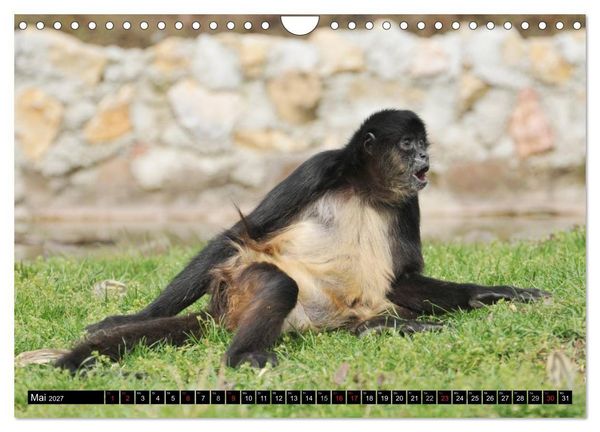 Produktbild: Sri Lanka (Wandkalender 2027 DIN A4 quer), CALVENDO Monatskalender