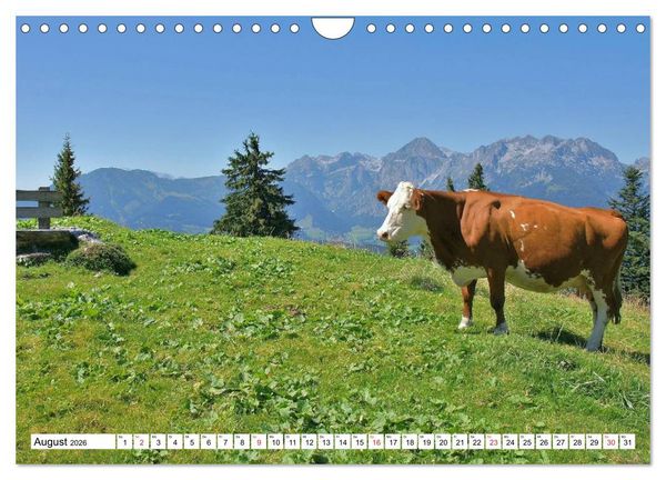 Produktbild: Die Alpen im Herzen von &Ouml;sterreich (Wandkalender 2026 DIN A4 quer), CALVENDO Monatskalender