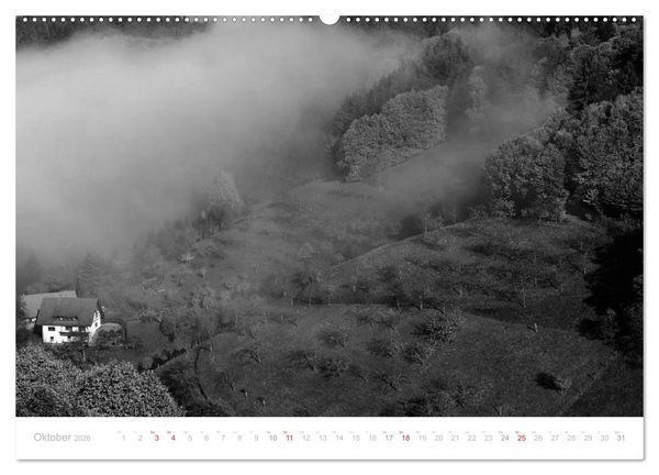 Produktbild: Mystischer Schwarzwald (Wandkalender 2026 DIN A2 quer), CALVENDO Monatskalender