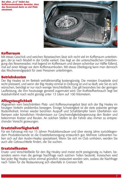 Praxisratgeber Klassikerkauf Austin Healey