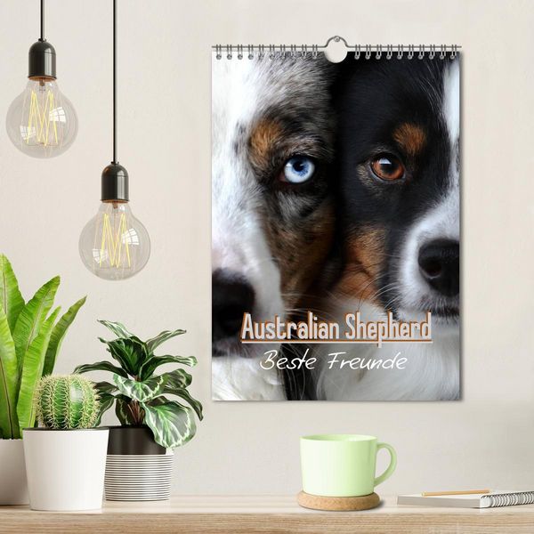 Produktbild: Australian Shepherd - Beste Freunde (Wandkalender 2026 DIN A4 hoch), CALVENDO Monatskalender
