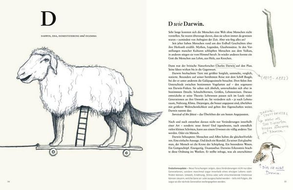 Produktbild: Du Tier, ich Mensch?