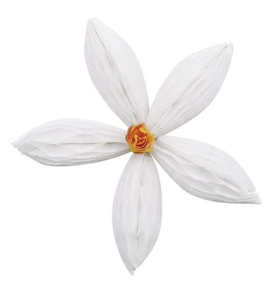 Produktbild: URSUS Basispapiere Wabenpapier Wei&szlig;, 22,5 x 32,5 cm, 6 Blatt
