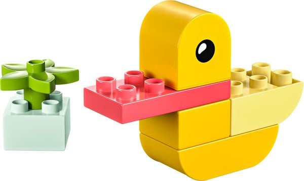 LEGO DUPLO My First 30673