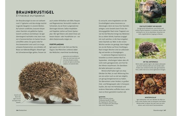 Produktbild: Leben am Gartenteich