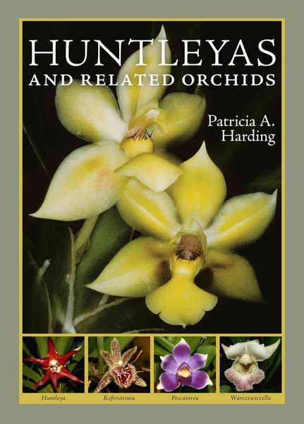 Produktbild: Huntleyas & Related Orchids