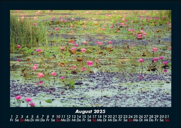 Produktbild: Rosentraum 2025 Fotokalender DIN A5