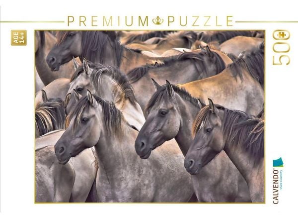 CALVENDO Puzzle Traumpferde | 500 Teile Lege-Größe 48 × 36 cm Foto-Puzzle für Erwachsene