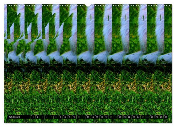 Produktbild: Magische Bilder - 3D Stereogramme (Wandkalender 2026 DIN A2 quer), CALVENDO Monatskalender