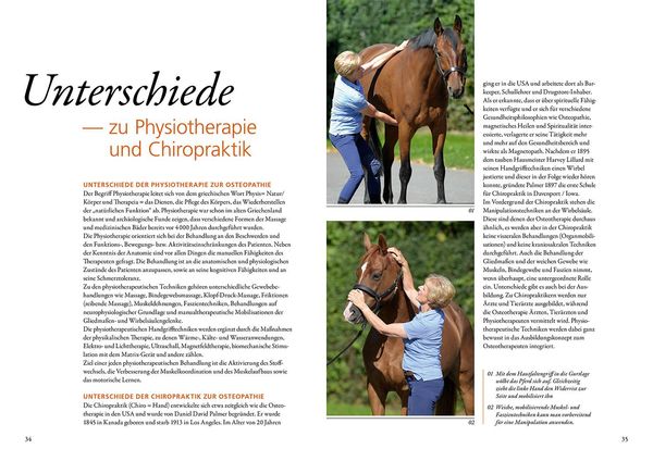 Produktbild: Osteopathie für Pferde