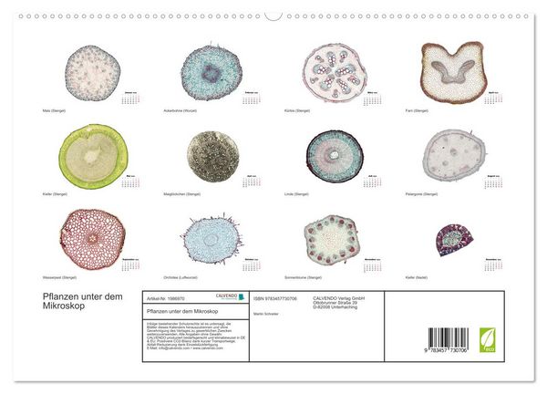 Produktbild: Pflanzen unter dem Mikroskop (hochwertiger Premium Wandkalender 2026 DIN A2 quer), Kunstdruck in Hochglanz