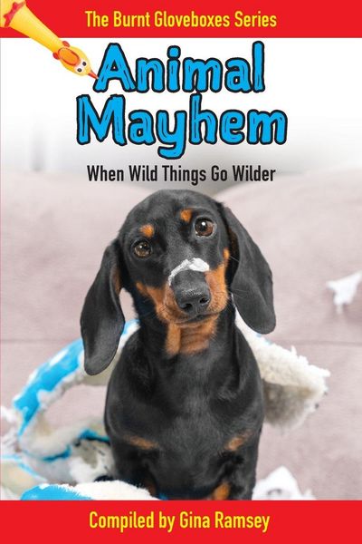 Produktbild: Animal Mayhem