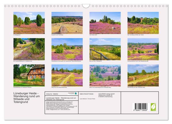Produktbild: L&uuml;neburger Heide - Wanderung rund um Wilsede und Totengrund (Wandkalender 2026 DIN A3 quer), CALVENDO Monatskalender