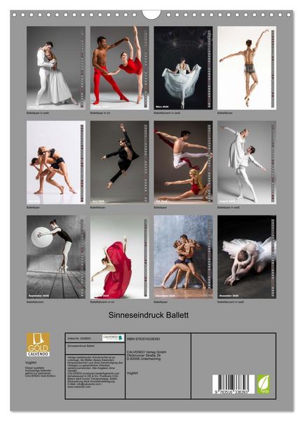 Produktbild: Sinneseindruck Ballett (Wandkalender 2026 DIN A3 hoch), CALVENDO Monatskalender