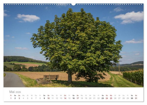 Produktbild: Wundersch&ouml;ne B&auml;ume im Sauerland (Wandkalender 2026 DIN A2 quer), CALVENDO Monatskalender