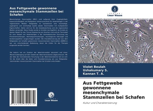 Produktbild: Aus Fettgewebe gewonnene mesenchymale Stammzellen bei Schafen