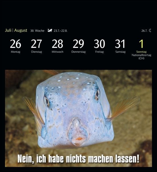 Produktbild: Animal Memes Postkartenkalender 2027 - 53 tierisch witzige Postkarten