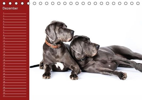 Produktbild: Deutsche Doggen / Geburtstagskalender (Tischkalender immerw&auml;hrend DIN A5 quer)