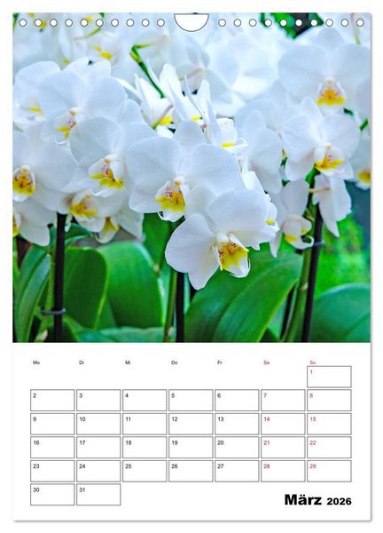 Produktbild: Orchideen - Tropische Sch&ouml;nheiten (Wandkalender 2026 DIN A4 hoch), CALVENDO Monatskalender