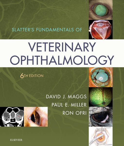 Produktbild: Slatter's Fundamentals of Veterinary Ophthalmology E-Book