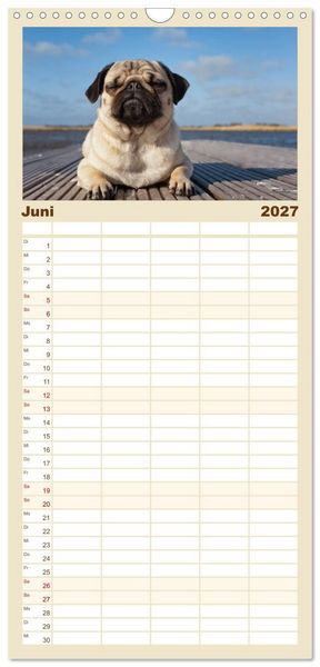 Produktbild: Familienplaner 2027 - Mops mit 5 Spalten (Wandkalender, 21 x 45 cm) CALVENDO