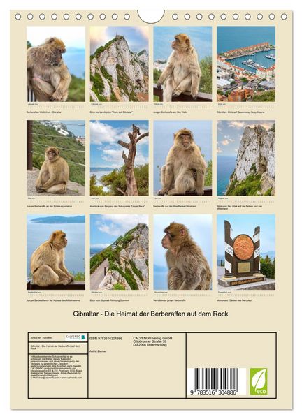 Produktbild: Gibraltar - Die Heimat der Berberaffen auf dem Rock (Wandkalender 2026 DIN A4 hoch), CALVENDO Monatskalender