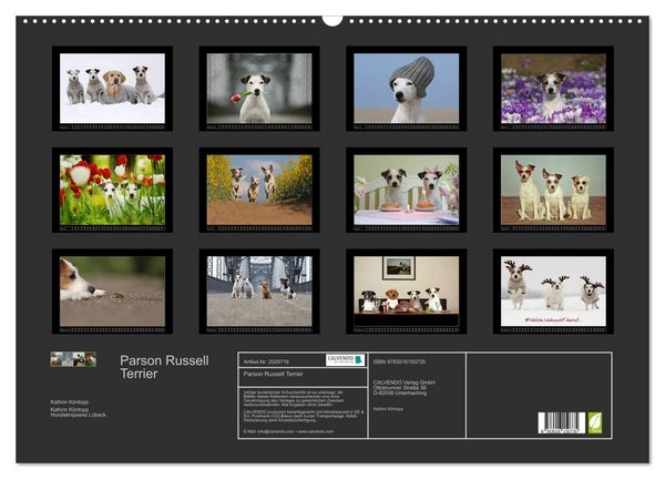 Produktbild: Parson Russell Terrier (Wandkalender 2026 DIN A2 quer), CALVENDO Monatskalender