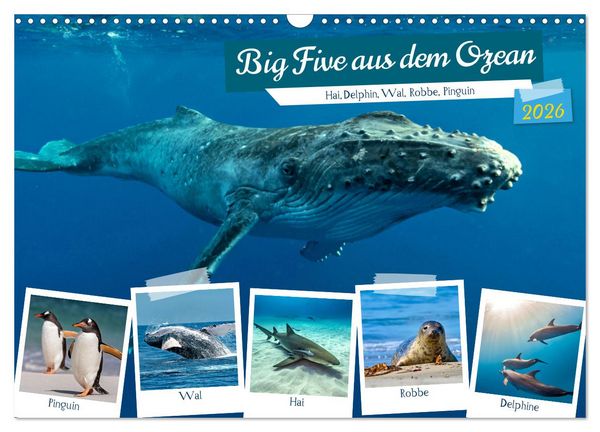 Produktbild: Big Five aus dem Ozean Hai, Delphin, Wal, Robbe, Pinguin (Wandkalender 2026 DIN A3 quer), CALVENDO Monatskalender