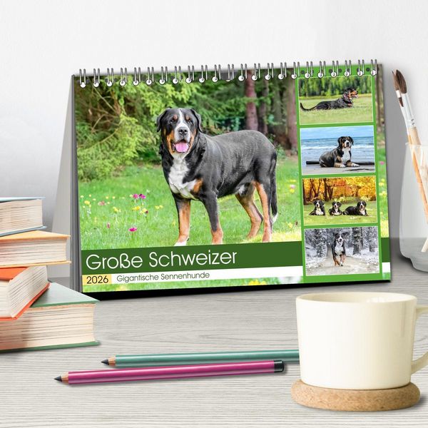 Produktbild: Gro&szlig;e Schweizer - Gigantische Sennenhunde (Tischkalender 2026 DIN A5 quer), CALVENDO Monatskalender