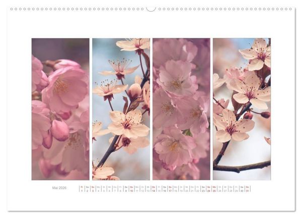 Produktbild: Gartenfreude (Wandkalender 2026 DIN A2 quer), CALVENDO Monatskalender