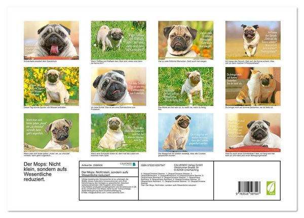 Produktbild: Der Mops: Nicht klein, sondern aufs Wesentliche reduziert. (Wandkalender 2026 DIN A3 quer), CALVENDO Monatskalender