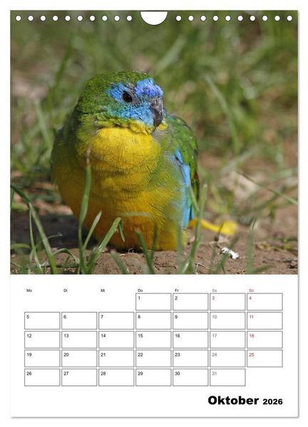 Produktbild: Papageien - Graupapagei, Rosella und Co. (Wandkalender 2026 DIN A4 hoch), CALVENDO Monatskalender