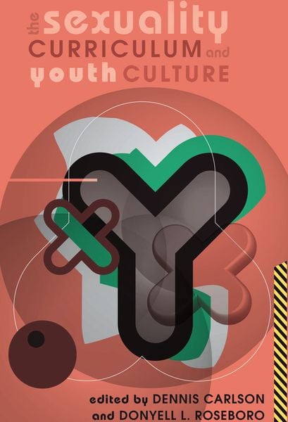 Produktbild: The Sexuality Curriculum and Youth Culture