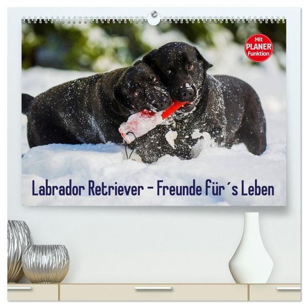 Produktbild: Labrador Retriever - Freunde f&uuml;r&acute;s Leben (hochwertiger Premium Wandkalender 2026 DIN A2 quer), Kunstdruck in Hochglanz