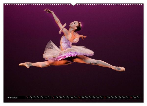 Produktbild: Vaganova, ballet imp&eacute;rial (Calendrier mural 2026 DIN A2 vertical) calendrier de bureau
