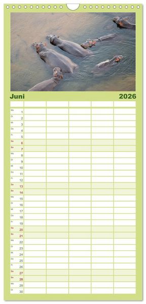 Produktbild: Familienplaner 2026 - Nilpferde, Kolosse im Wasser mit 5 Spalten (Wandkalender, 21 x 45 cm) CALVENDO