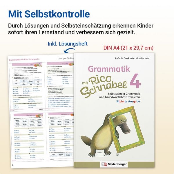 Produktbild: Grammatik mit Rico Schnabel, Klasse 4 - silbierte Ausgabe