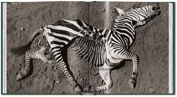 Produktbild: Peter Beard