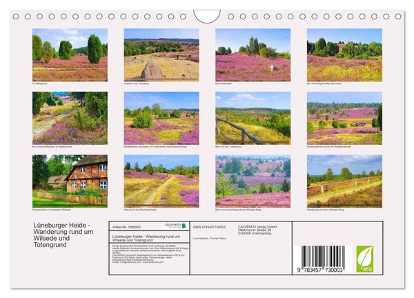 Produktbild: L&uuml;neburger Heide - Wanderung rund um Wilsede und Totengrund (Wandkalender 2026 DIN A4 quer), CALVENDO Monatskalender