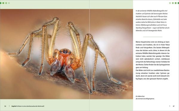 Produktbild: Extreme Wildlife-Makrofotografie
