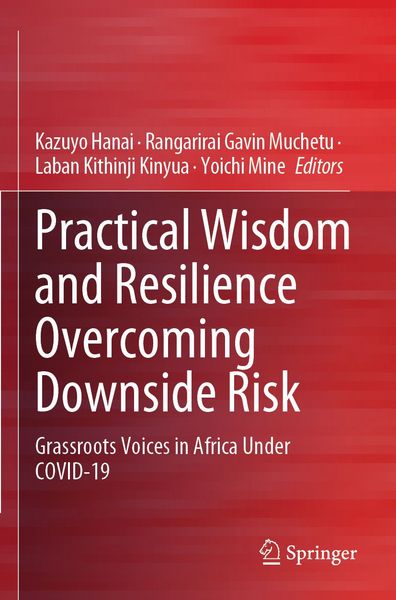 Produktbild: Practical Wisdom and Resilience Overcoming Downside Risk