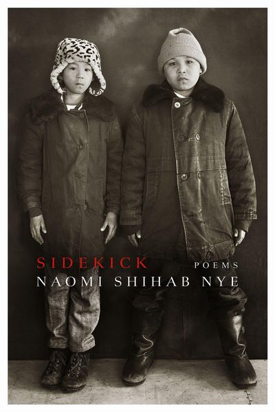 Produktbild: Sidekick