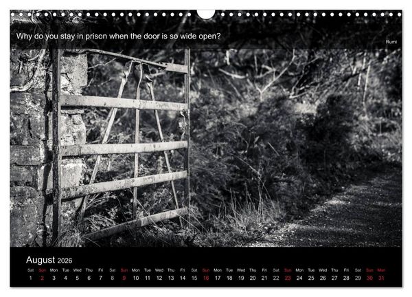 Produktbild: Through the Gate with Rumi (Wall Calendar 2026 DIN A3 landscape), CALVENDO 12 Month Wall Calendar