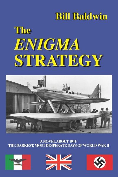 Produktbild: The Enigma Strategy
