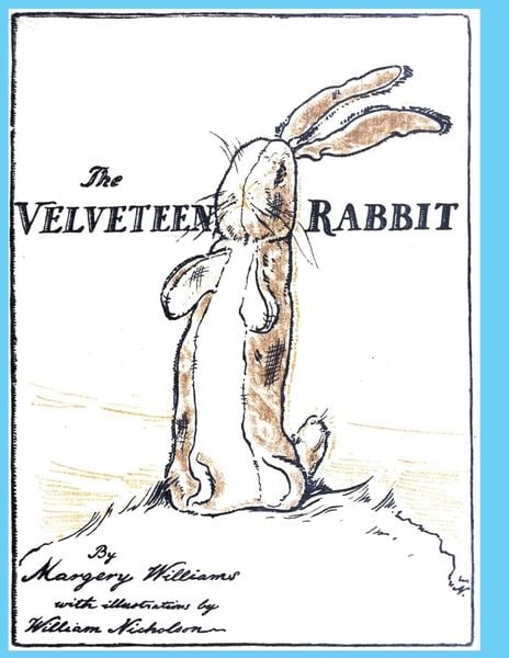 Produktbild: The Velveteen Rabbit