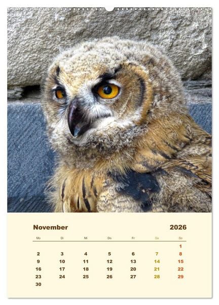 Produktbild: Uhu, die Faszination bernsteinfarbener Augen (Wandkalender 2026 DIN A2 hoch), CALVENDO Monatskalender