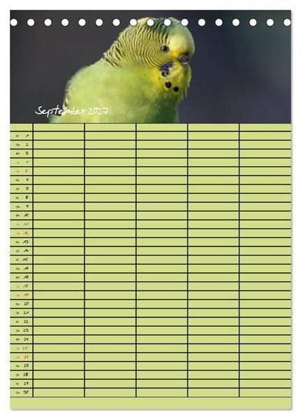Produktbild: Der Wellensittich-Familienplaner (Tischkalender 2027 DIN A5 hoch), CALVENDO Monatskalender