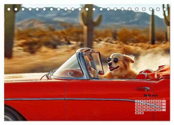 Produktbild: S&uuml;&szlig;e Hunde cruisen - durch das Jahr mit dem Hundekalender (Tischkalender 2026 DIN A5 quer), CALVENDO Monatskalender