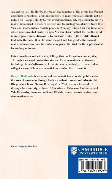 Produktbild: Why Does Math Work ... If It's Not Real?